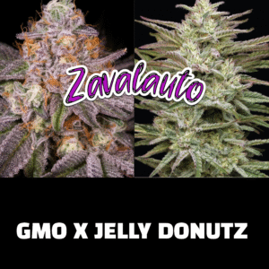 3 zavalauto autoflower seeds